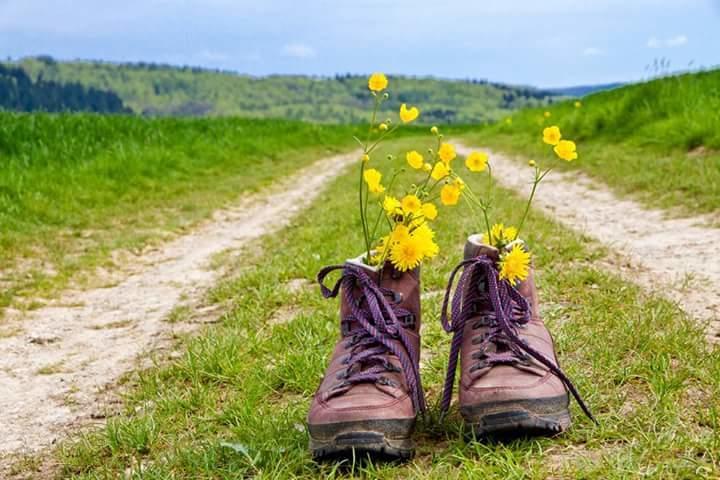 Pension Deimel ハレンベルク エクステリア 写真